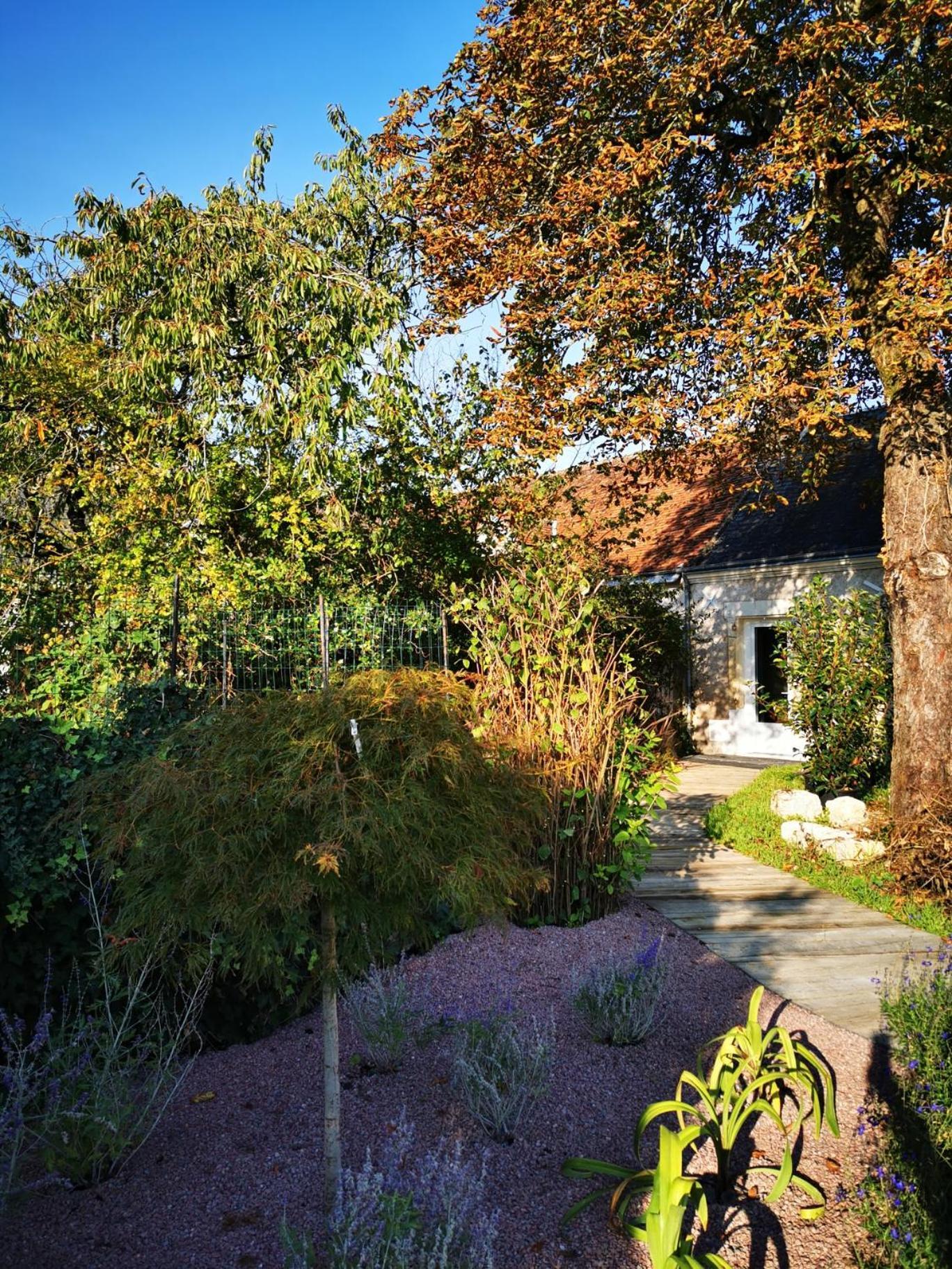 Bed and Breakfast La Jacquière Chaumont-sur-Loire Esterno foto